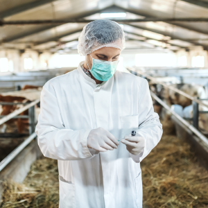 Минсельхоз стимулирует закупку российских препаратов