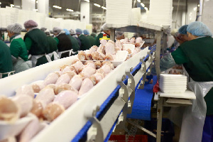 На Ставрополье готовится к запуску крупнейший в регионе птицекомплекс