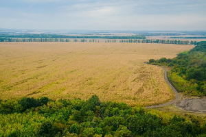 «Мираторг» произвел натуральных органических удобрений на 60 млн руб. в Белгородской и Курской областях в 2018 году