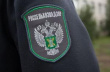В Калининградской области задержали 10 тонн куриного филе