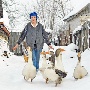 Гусь как «Липецкий продукт»
