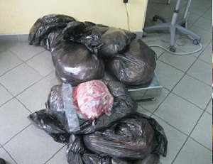 Калининградцы пытались провезти через границу тонну мяса