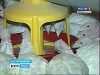 Рязанские предприниматели делают ставку на индейку
