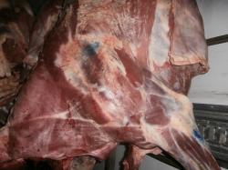 О недопущении на территорию Крыма говядины неизвестного происхождения