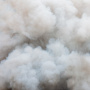 В Брянской области произошел пожар на птицефабрике «Мираторга»