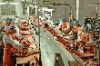 Временно банкрот. Калужский мясокомбинат задолжал сотрудникам миллионы