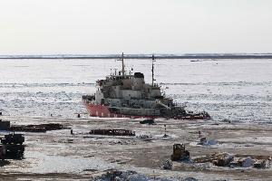 В Красноярском крае задержали тонну мяса из Парагвая 