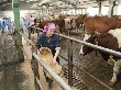 Аграриев Ленобласти поддержат материально Аграриев Ленобласти поддержат материально