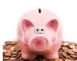 Аналитики прогнозируют «осторожный рост мировой свиной индустрии»