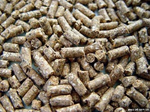 Россия может ограничить поставки аргентинского комбикорма через Латвию