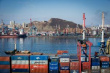 Россельхознадзор приостановил ввоз в Приморье 27 тонн курицы из Бразилии