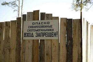  Власти Бурятии взялись за бесхозные скотомогильники 