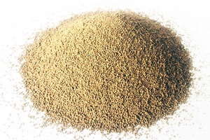 Джамбулат Хатуов: необходимо снижать зависимость от импорта кормового лизина 