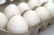 Ленобласть признана первой по производству куриных яиц и третьей — по мясу птицы