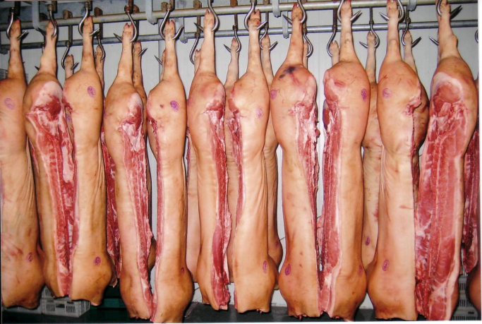 Продажа свинины 1-ой и 2-ой категории оптом от 116 р/кг.Клка