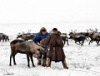 Предприятия Ямальского района готовы к началу забойной кампании