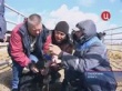 В “Мираторге” работают целыми семьями