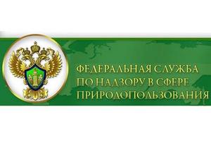В Росприроднадзоре и Роспотребнадзоре предлагают запретить упаковки из полистирола для пищевых продуктов