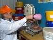 В Ставрове Владимирской области появится агропарк