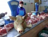 В некоторых районах Саратовской области запретили торговать свиньями В некоторых районах Саратовской области запретили торговать свиньями