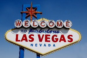 США: Закрытие казино из-за пандемии оставило без корма свиней Лас-Вегаса