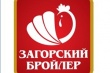 В Подмосковье убыточный «Загорский бройлер» накопил 5 млн рублей долгов по зарплате