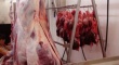 Ямальские оленеводы выполнят план по заготовке мяса