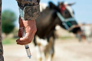 Использование антибиотиков в сельскохозяйственном секторе Израиля будет ограничено