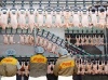 Россияне нашли сальмонеллу в «Гаврилівських курчатах»