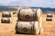 ЕАЭС экспортировал сельхозпродукции на $30 млрд