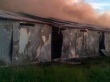 В Курской области сгорел свинокомплекс. Ущерб более двух с половиной тысяч голов свиней
