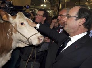 Чья бы корова мычала, мсье…Репортаж с Парижского сельскохозяйственного салона