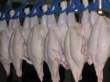 Владимир Фисинин: Россия может увеличить производство мяса птицы к 2020 г на 25%