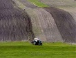Южноуральский АПК производит треть всей продукции сельского хозяйства УрФО