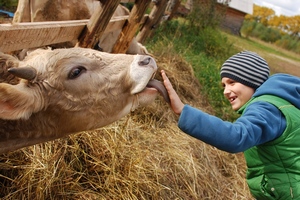  В Минсельхозе России обсудили перспективы развития аграрного образования 