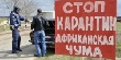Об опасности африканской чумы свиней предупредили сахалинских фермеров