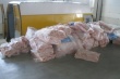  В Россию из Польши незаконно пытались ввести 600 кг свинины