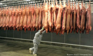 ФАС не видит основания для проверки роста оптовых цен на свинину