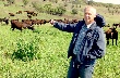 Австралийское ускорение для орловских рысаков