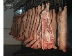 Россельхознадзор забраковал четверть перерабатывающейся в Костромской области свинины Россельхознадзор забраковал четверть перерабатывающейся в Костромской области свинины
