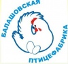 Балашовская птицефабрика