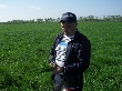 В Татарстане впервые собрали урожай амаранта В Татарстане впервые собрали урожай амаранта