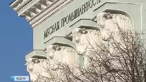 В "Главмясо" вдохнут новую жизнь