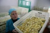 Минсельхоз Кубани и Союз птицеводческих хозяйств определили план развития отрасли