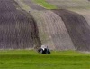Южноуральский АПК производит треть всей продукции сельского хозяйства УрФО