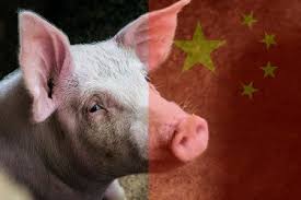 На юге Китая зафиксировали вспышку африканской чумы свиней