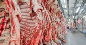С начала года объем экспорта бразильской говядины вырос более чем на 9%