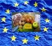 Евросоюз ждет от России официального списка продуктов запрещенных для импорта в РФ