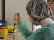 Россельхознадзор выявил небезопасную продукцию в 26 странах