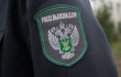 В Приморье будут усилены меры по контролю качества импортного мяса